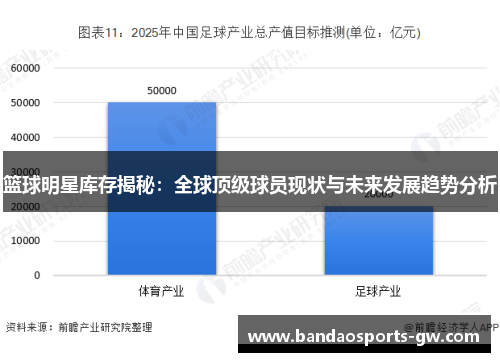 篮球明星库存揭秘：全球顶级球员现状与未来发展趋势分析