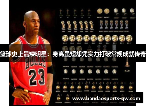 篮球史上最矮明星：身高虽短却凭实力打破常规成就传奇
